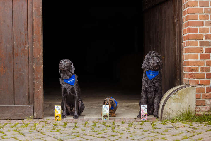 Teaser GutZuWissen Übersicht